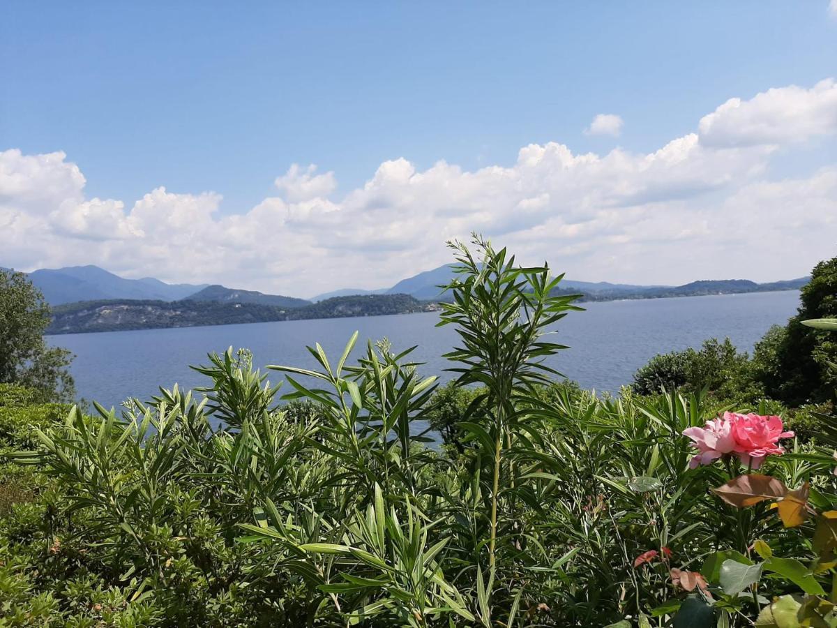 Bmp Apartment Gioiosa 2 Giardino Vista Lago Maggiore Belgirate Exterior foto