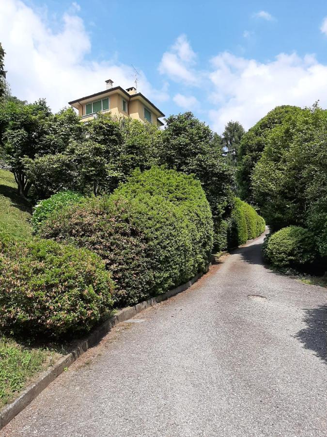 Bmp Apartment Gioiosa 2 Giardino Vista Lago Maggiore Belgirate Exterior foto